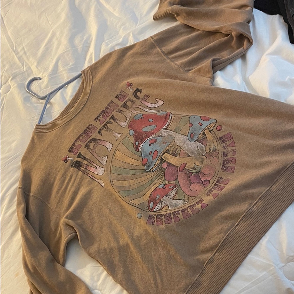 Hollister Brown Graphic Sweatshirt